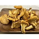 Fresh Chanterelle Mushrooms- Imported