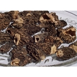 Dried Mushrooms