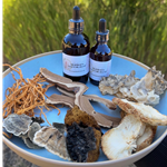 Extract- Tinctures Medicinal Mushrooms