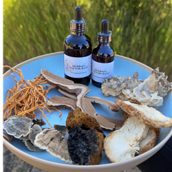 Extract- Tinctures Medicinal Mushrooms