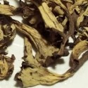 Dried Black Trumpet Mushrooms-Wild USA