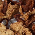Dried Chanterelle Mushrooms Wild USA