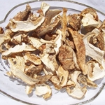 Dried Matsutake Mushrooms Wild USA