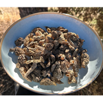 Dried Wild Morel Mushrooms from the USA, Wild Crafted Conicas