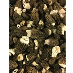 Fresh Black Morels