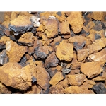 Dried Chaga