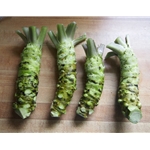 Fresh Wasabi Root