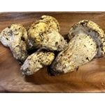 Fresh Matsutake Grade #1