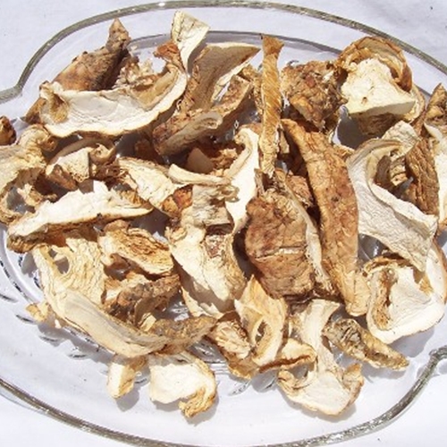 Oregon Mushrooms Corporation Dried Matsutake Mushrooms Wild USA
