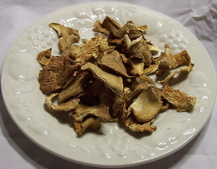 Oregon Mushrooms Corporation Dried Oyster Mushrooms