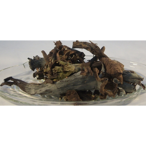 Fresh Black Trumpets