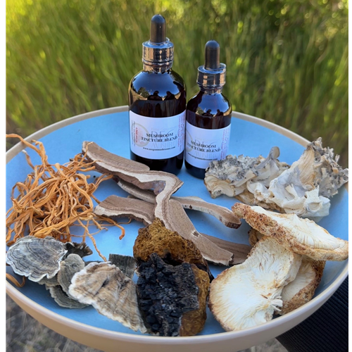 Oregon Mushrooms Corporation Mushroom Tincture Extract Blend 6 types