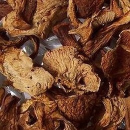 Dried Chanterelle Mushrooms Wild USA