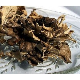 Dried Maitake Mushrooms