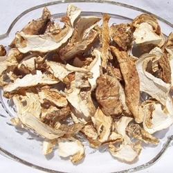 Dried Matsutake Mushrooms Wild USA