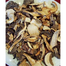 Dried Mushroom Mix Wild USA