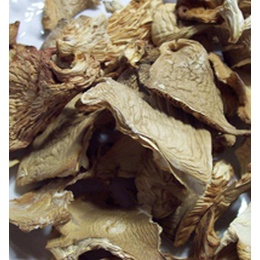 Dried Oyster Mushrooms