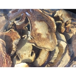 Dried Domestic Porcini Mushrooms Wild USA