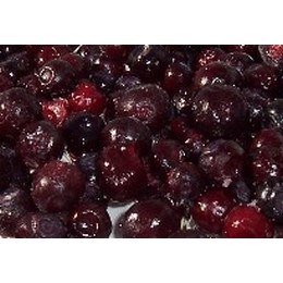 Frozen Mountain Huckleberries