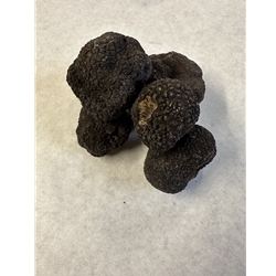 Fresh Black Winter Truffles -Perigords