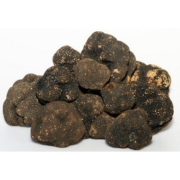 Fresh Black Summer Truffles