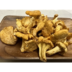 Fresh Chanterelle Mushrooms (Imported)