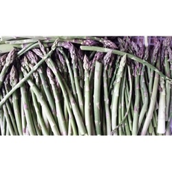 Fresh Wild Asparagus