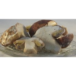 Frozen Domestic Porcini