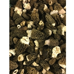 Fresh Black Morels