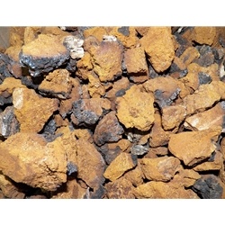 Dried Chaga