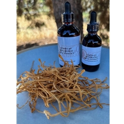 Cordycep Tincture-Extract