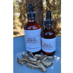 Shiitake Tincture-Extract