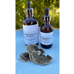 Turkey Tail Tincture-Extract