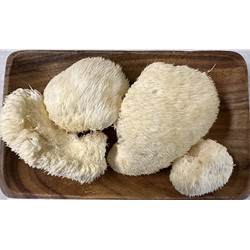 Fresh Lion's Mane Mushroom