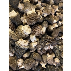 Fresh Black Morel Mushrooms
