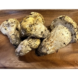 Fresh Matsutake Grade #1