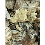 Dried Chicken of the Woods 1 oz